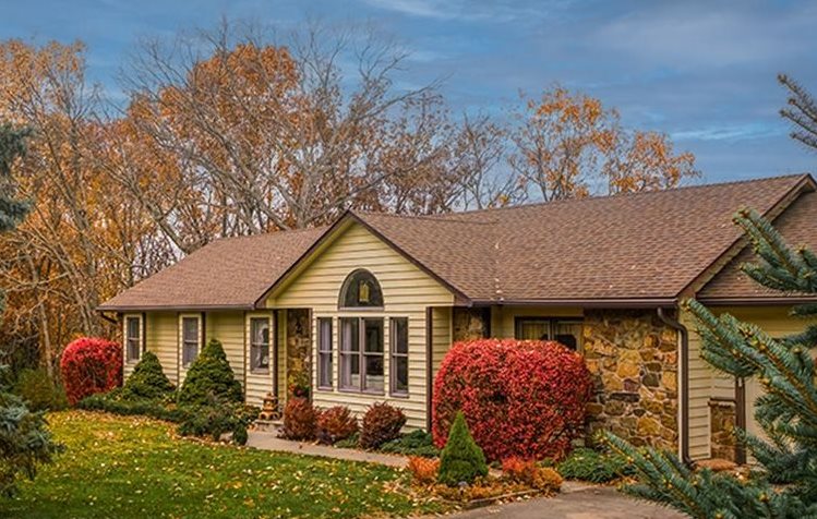 Selected content image